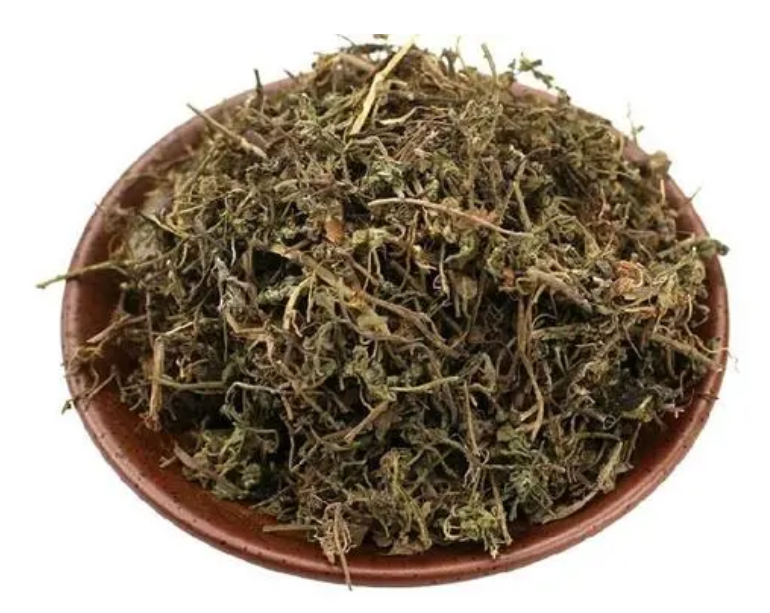 中药鹅不食草的功效