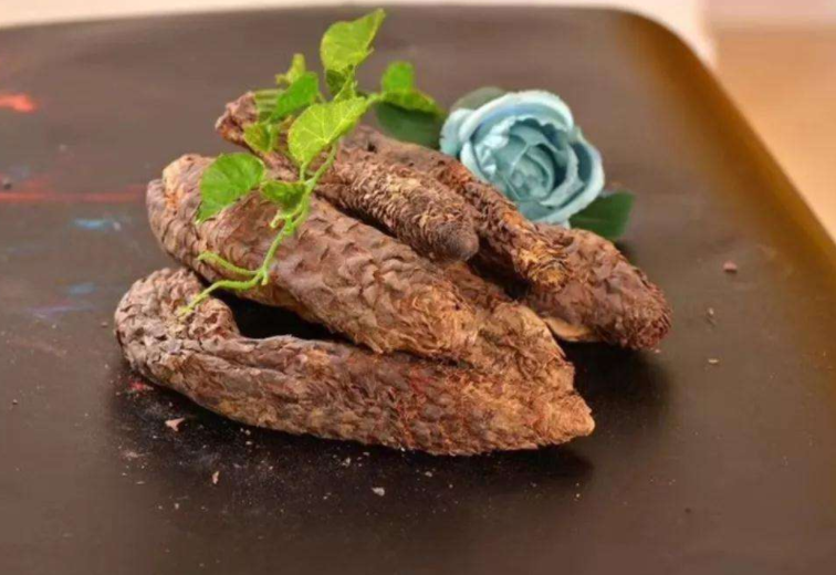 肉苁蓉啥样的好及挑选的常识