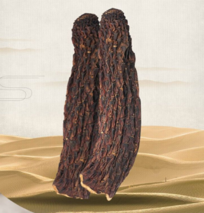 肉苁蓉的不良反应有哪些