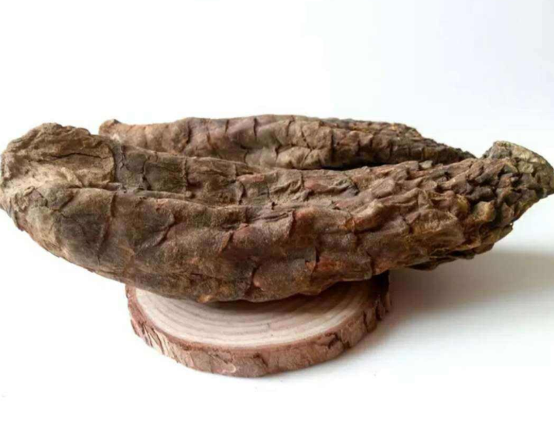 肉苁蓉的常用量多少好