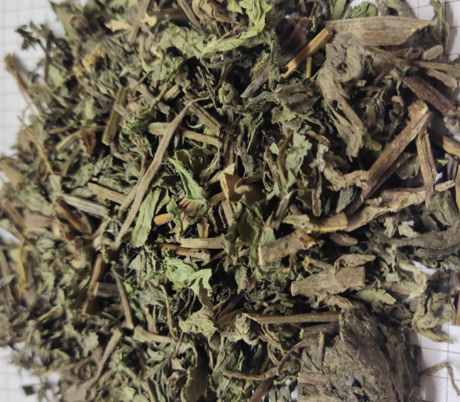 墨旱莲的功效与作用是什么