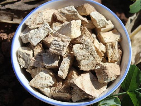野葛根药用价值有什么