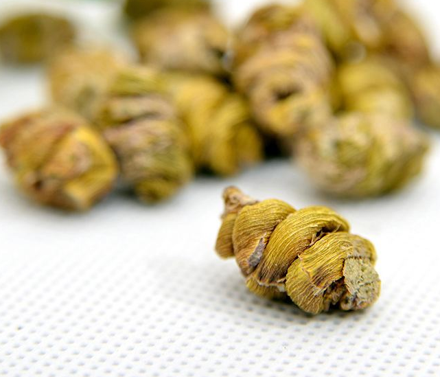铁皮枫斗药用价值有哪些