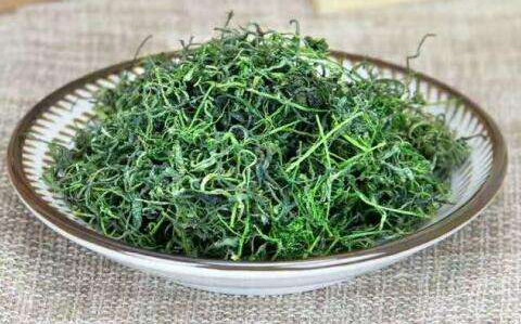 绞股蓝茶过敏怎么办