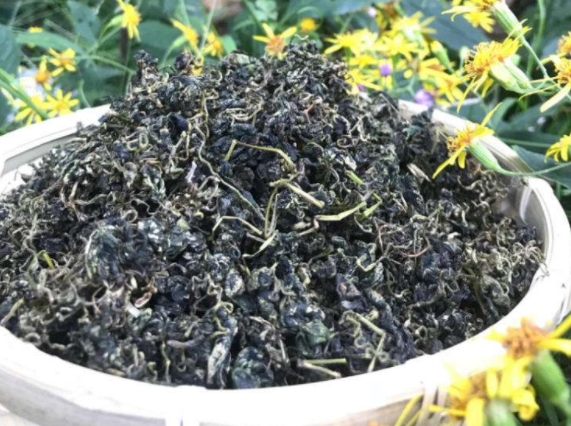 绞股蓝和荷叶可以一起泡水喝吗