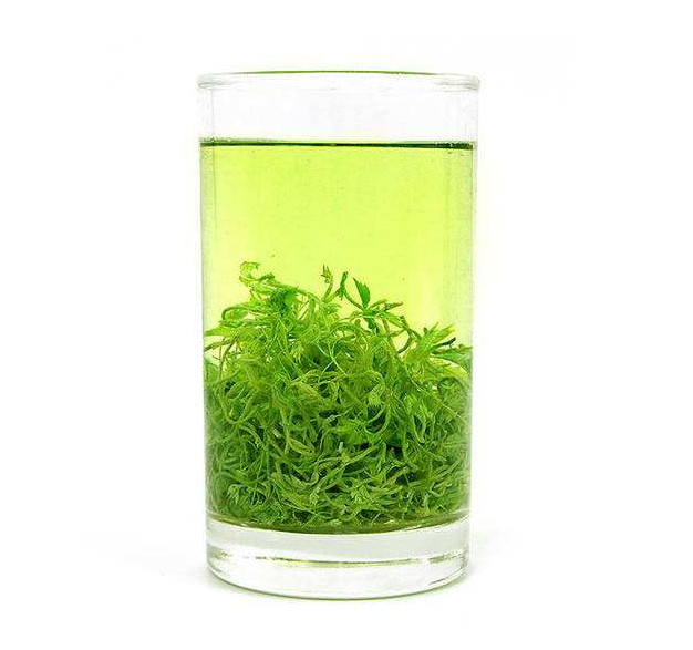 绞股蓝茶服用量多少合适