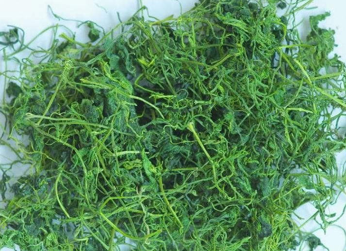 绞股蓝蓝泡水喝的坏处