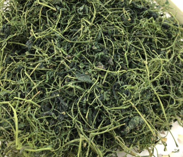 绞股蓝的食用方法有哪些