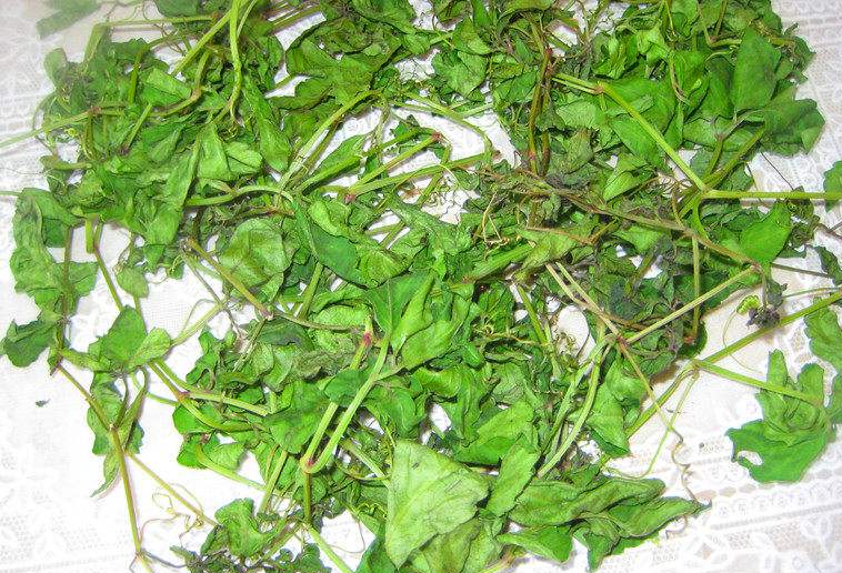 绞股蓝可以加蜂蜜吗