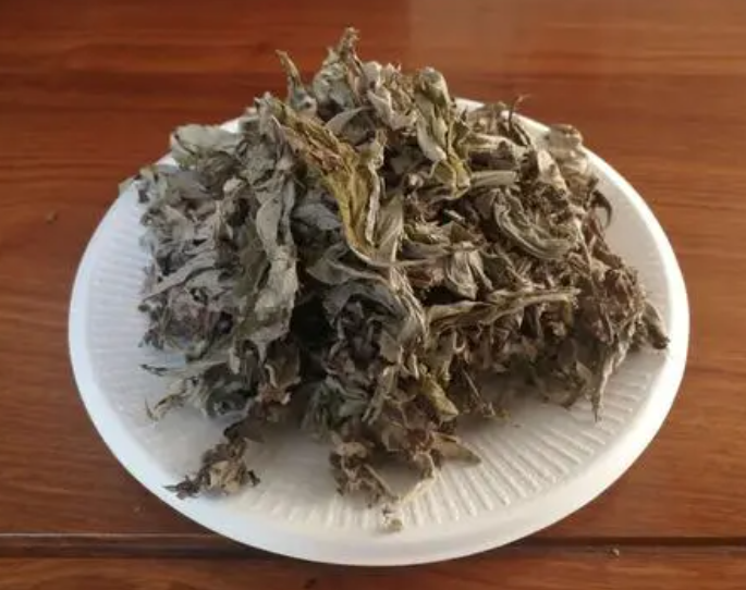 陈艾的功效与作用是什么