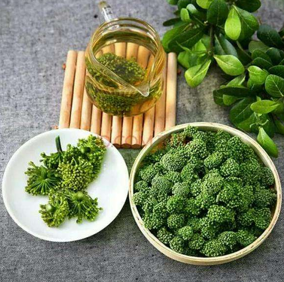 田七花药用价值是什么呢