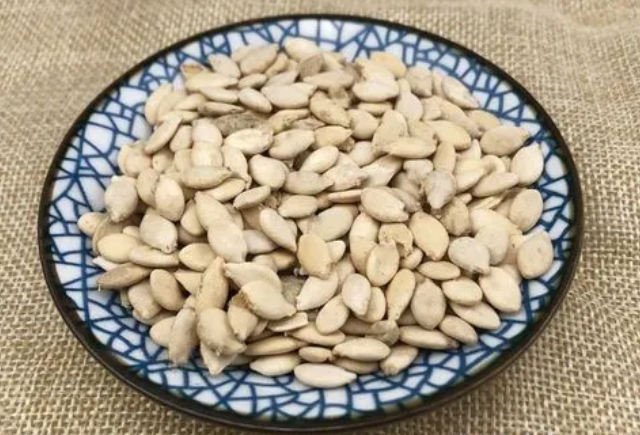冬瓜子药用价值是什么