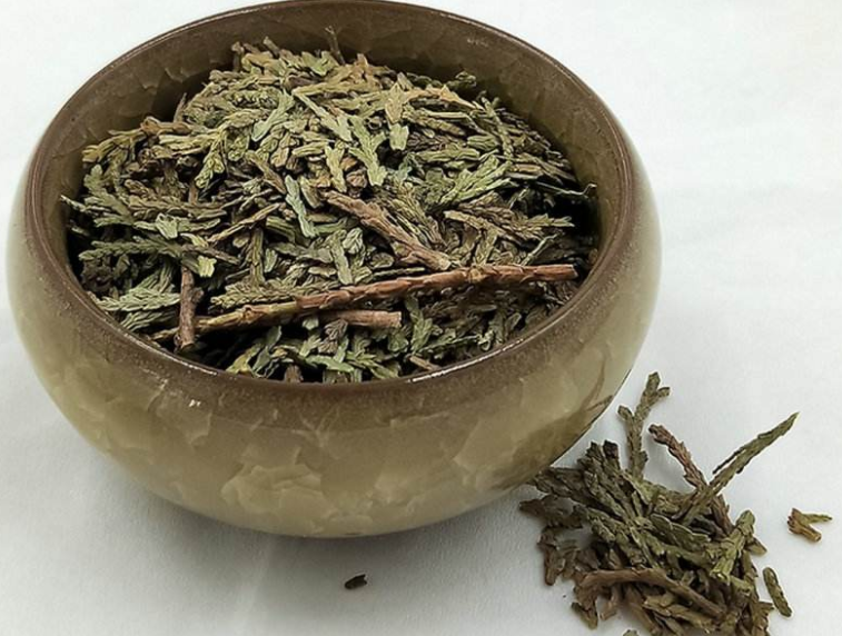 侧柏叶加生姜的功效是什么
