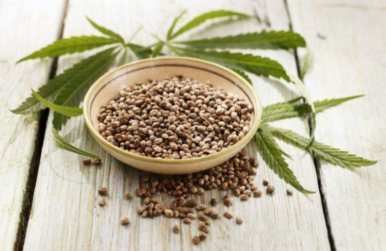 火麻仁的功效与作用以及食用方法有哪些