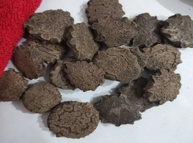 木鳖子功效主要有哪些