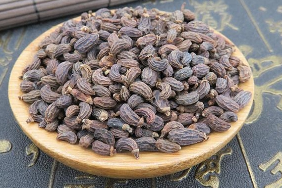 女贞子的功效与作用是什么呢