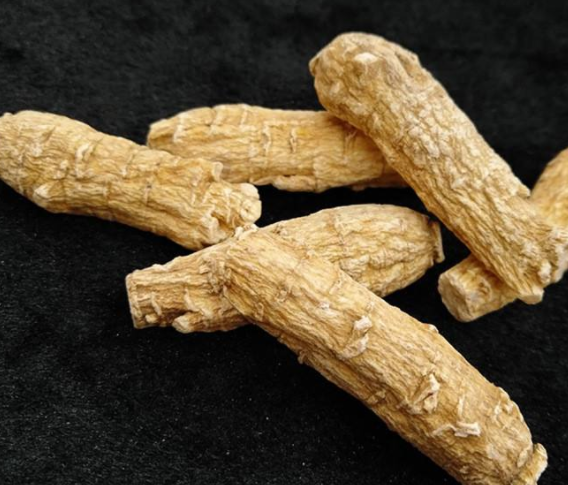 花旗参功效与作用有哪些呢
