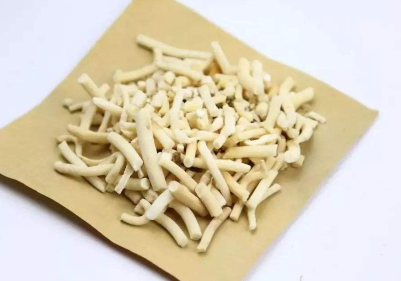通草的药用价值有哪些