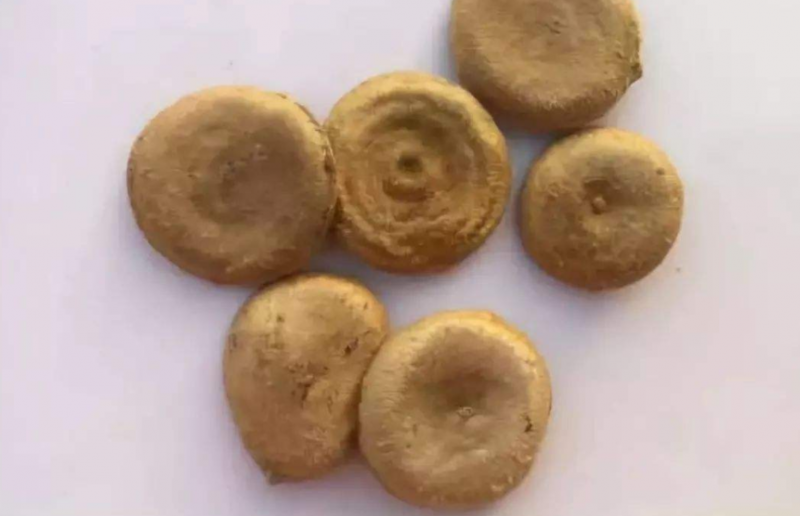 马钱子解毒时要注意些什么