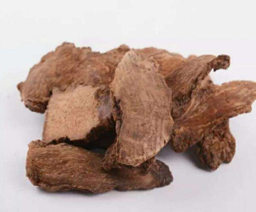 锁阳子的功效与作用有哪些