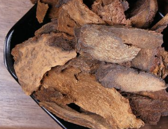 锁阳片的功效与作用有哪些