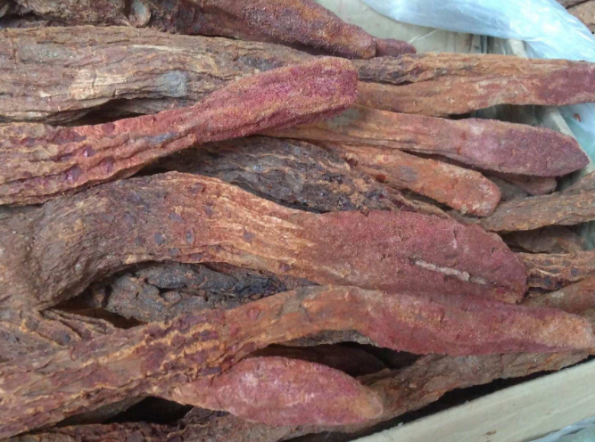 锁阳的功效作用是什么