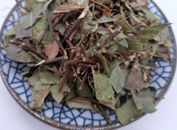 中药络石藤的功效与作用有哪些