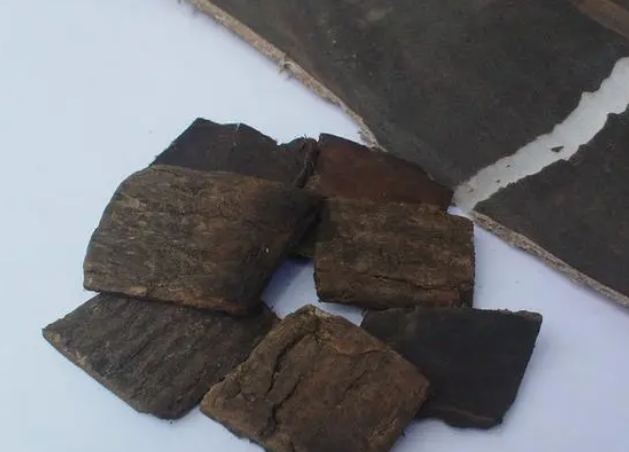 中药盐杜仲的作用有哪些