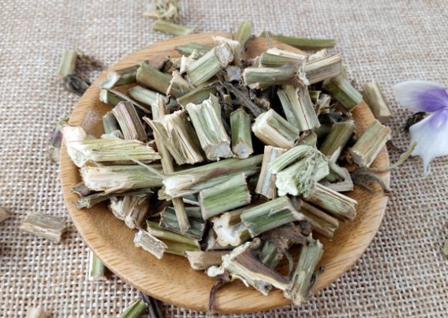 紫苏梗药用价值是什么