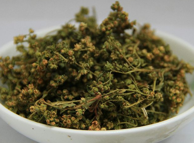 赶黄草功效是什么