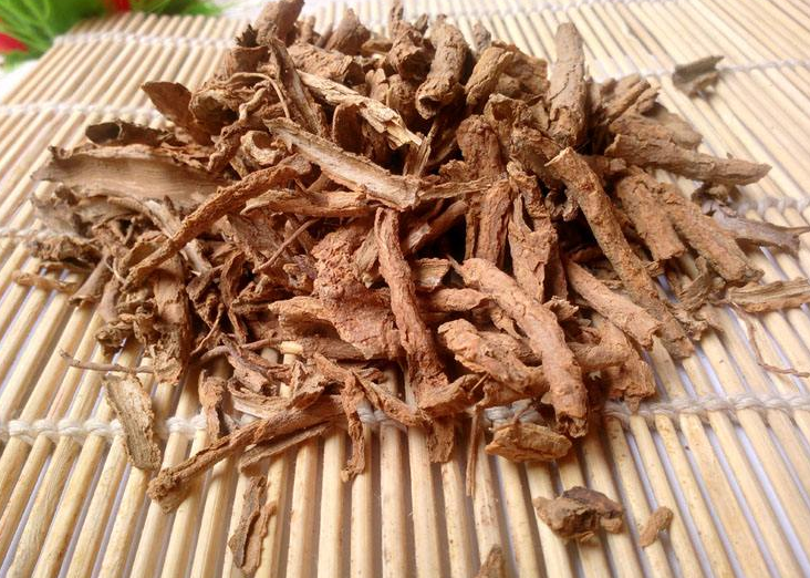 地骨皮的功效与作用有哪些呢