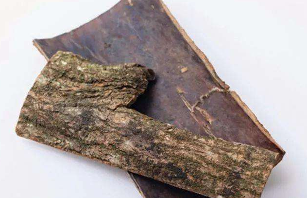 生杜仲与熟杜仲的区别是什么