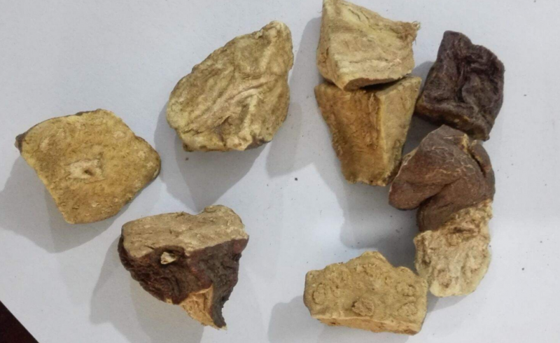 生何首乌的功效主要有哪些