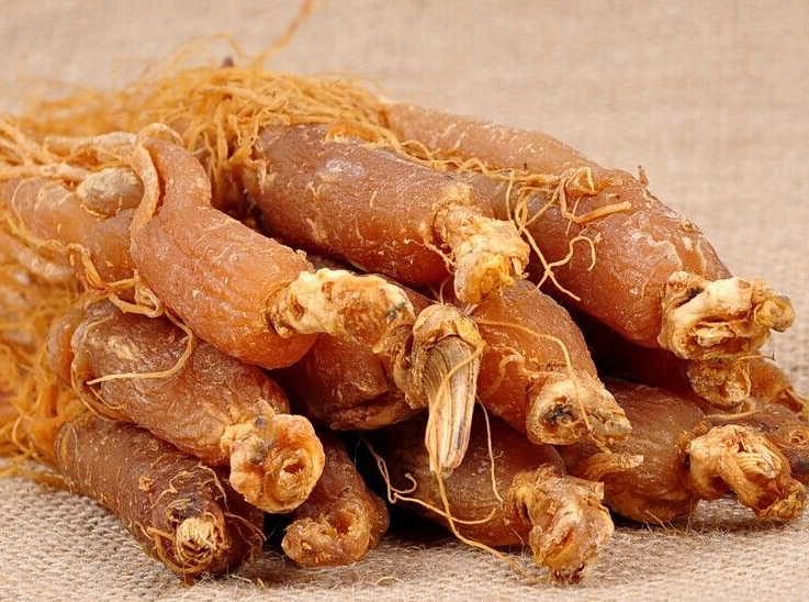红参与什么食物相克呢