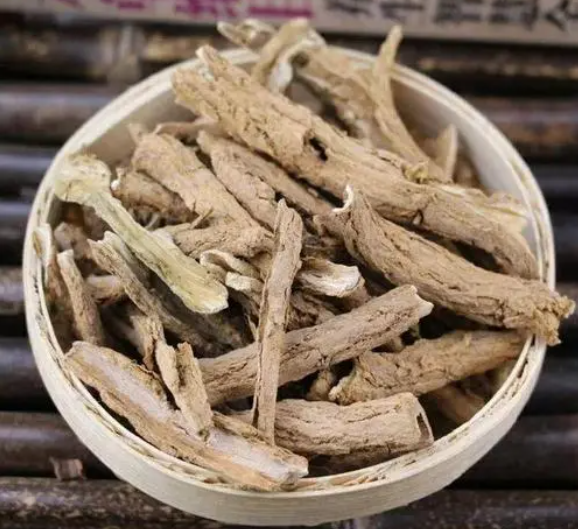 地骨皮的功效