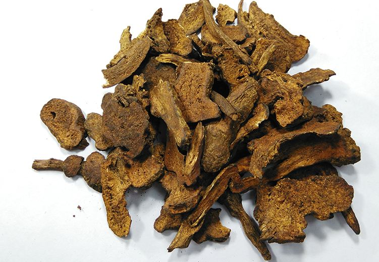 炒白术药用价值有哪些