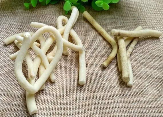 通草会有毒吗