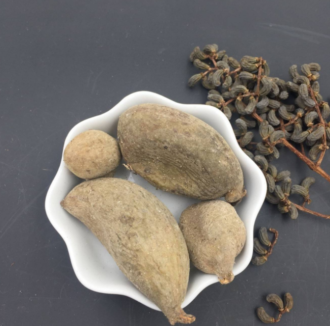 五倍子的功效与作用有哪些