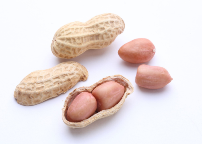 花生壳的药用价值是怎样的