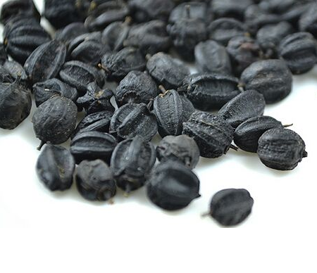 刺五加的药用价值有哪些