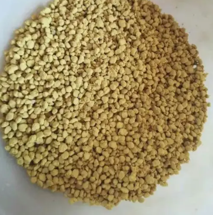 枣花花粉的功效与作用有哪些