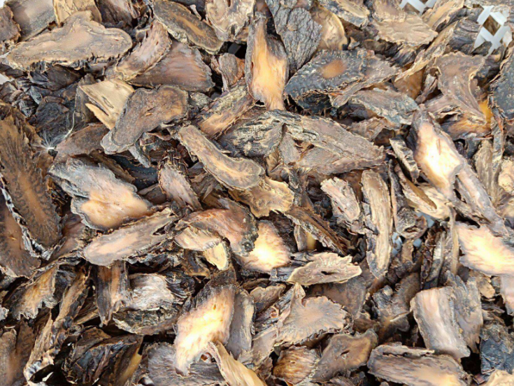 肉苁蓉药用价值是什么