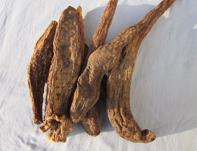 肉苁蓉鲜切片加工方法是什么