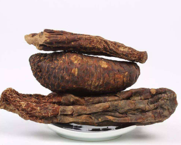 管花肉苁蓉的功效有哪些呢