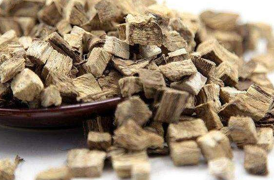 野葛根和葛根是一样吗