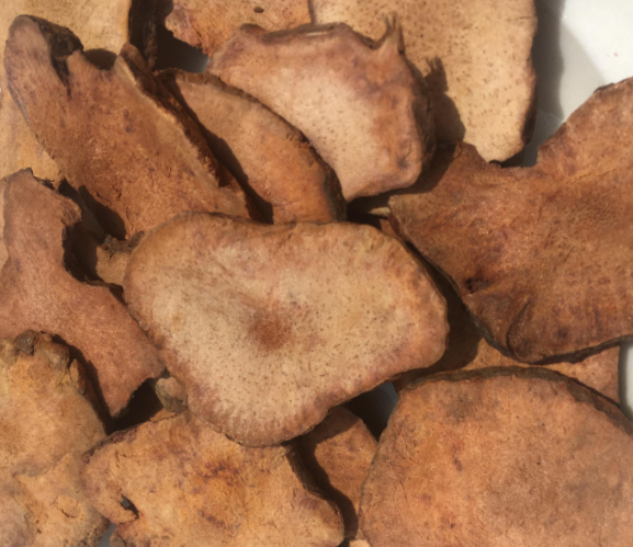 茯苓到底可以生吃吗