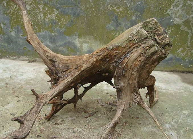 ľʲô