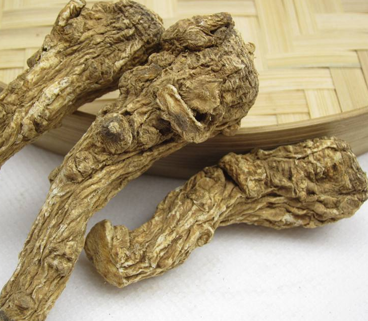 当归配伍禁忌是什么