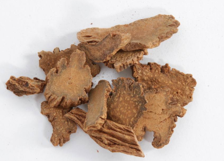 锁阳是不是肉苁蓉呢