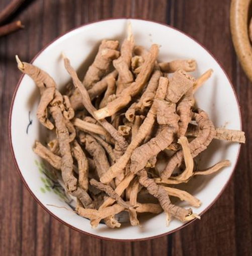 远志肉是什么呢